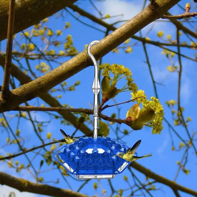 Hummingbird Feeder with Perch & Built-In Moat – Easy Clean, Leak-Proof Hanging Feeder for Gardens