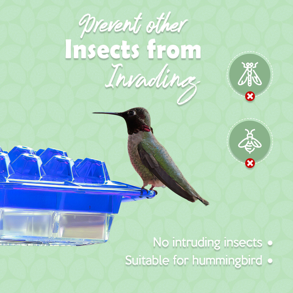 Hummingbird Feeder with Perch & Built-In Moat – Easy Clean, Leak-Proof Hanging Feeder for Gardens