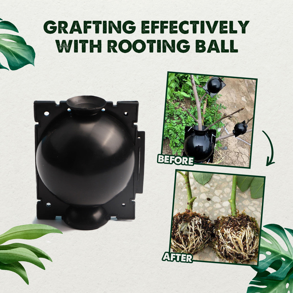 Ball Grafting Plant Rooting Growing Box – High-Pressure Propagation Pod for Fast Plant Growth
